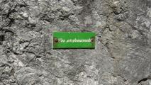 Min_Jannu-Les-Professionels-010.jpg