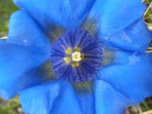 Min_Jardiland-002.jpg