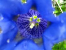 Min_Jardiland-003.jpg