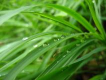 Min_Jardiland-005.jpg