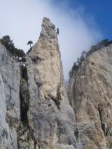 Min_Jardiland-014.jpg