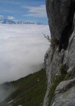 Min_Jardiland-015.jpg