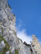 Min_Jardiland-020.jpg