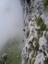 Min_Jardiland-021.jpg