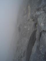 Min_Jardiland-027.jpg