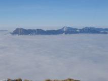 Min_Jas-Lievres-008.jpg