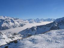 Min_Jas-Lievres-009.jpg