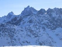 Min_Jas-Lievres-011.jpg