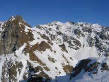Min_Jas-Lievres-013.jpg