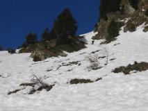 Min_Jas-Lievres-021.jpg