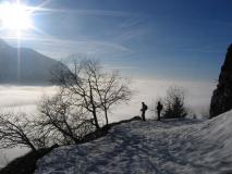 Min_Jas-Lievres-023.jpg