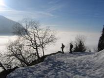 Min_Jas-Lievres-024.jpg