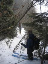 Min_Jas-Lievres-031.jpg