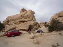Min_Joshua-Tree-001.jpg