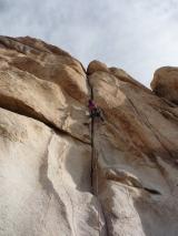 Min_Joshua-Tree-004.jpg