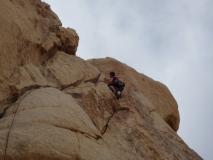 Min_Joshua-Tree-006.jpg