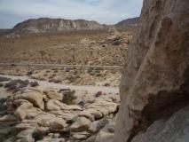 Min_Joshua-Tree-007.jpg