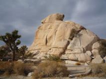 Min_Joshua-Tree-009.jpg