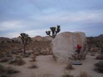 Min_Joshua-Tree-011.jpg