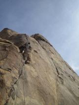 Min_Joshua-Tree-013.jpg