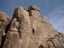 Min_Joshua-Tree-015.jpg
