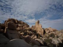 Min_Joshua-Tree-016.jpg