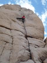Min_Joshua-Tree-017.jpg