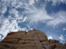 Min_Joshua-Tree-018.jpg