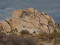 Min_Joshua-Tree-021.jpg
