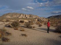 Min_Joshua-Tree-023.jpg