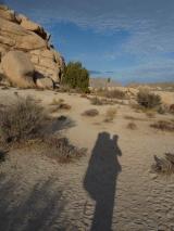 Min_Joshua-Tree-024.jpg