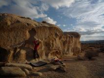 Min_Joshua-Tree-025.jpg