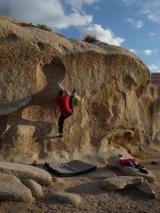 Min_Joshua-Tree-026.jpg