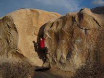 Min_Joshua-Tree-027.jpg