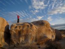 Min_Joshua-Tree-028.jpg