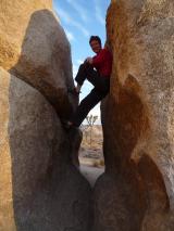 Min_Joshua-Tree-029.jpg