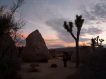 Min_Joshua-Tree-030.jpg
