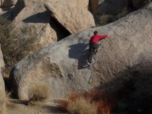 Min_Joshua-Tree-035.jpg