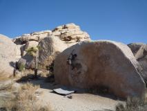 Min_Joshua-Tree-037.jpg
