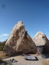 Min_Joshua-Tree-038.jpg