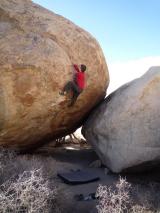 Min_Joshua-Tree-039.jpg