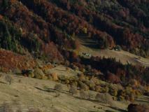 Min_L-Archetype-012.jpg