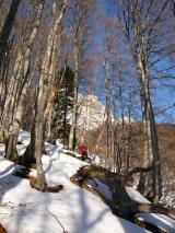 Min_La-Peyrouse-002.jpg