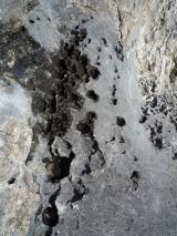 Min_Labyrinthe-012.jpg