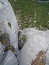 Min_Le-Toboggan-De-La-Mort-022.jpg