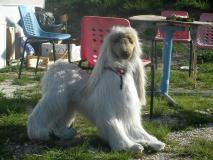 Min_Les-Caquous-029a.jpg