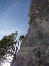 Min_Long-Large-Travers-011.jpg