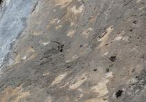 Min_Loozer-Magnifique-009.jpg