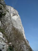 Min_Loozer-Magnifique-017.jpg