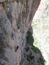 Min_Los-Ratones-Coloraos-002.jpg
